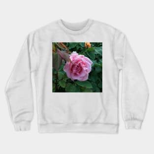 The big pink rose Crewneck Sweatshirt